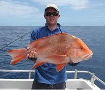 Fish